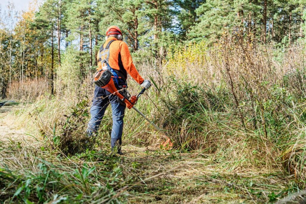 Bush clearing Bulawayo
