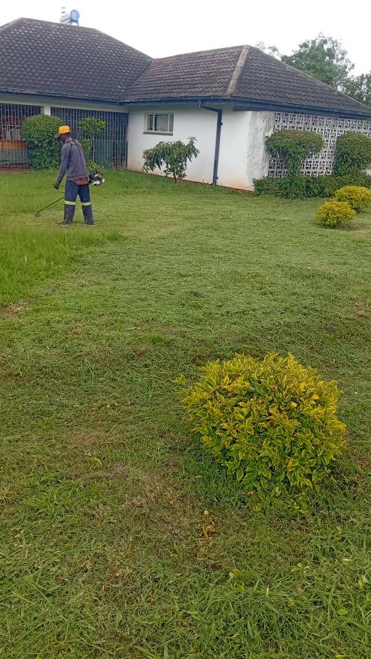 Grass cutting Bulawayo