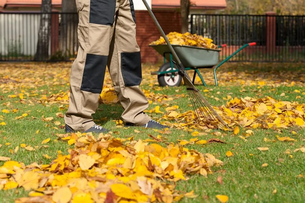 Yard clearance Bulawayo